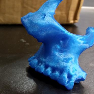 Scanning Bones for 3D Printing